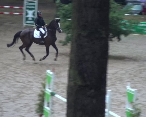 Reitturnier CSN Calvörde 2019