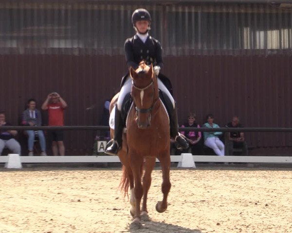 Reitturnier Marienheide-Kempershöhe 2019
