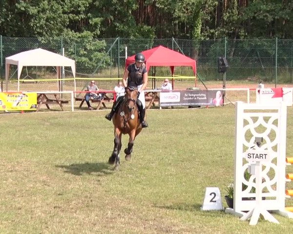 Reitturnier Boock 2019