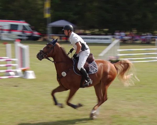 Reitturnier Boock 2019