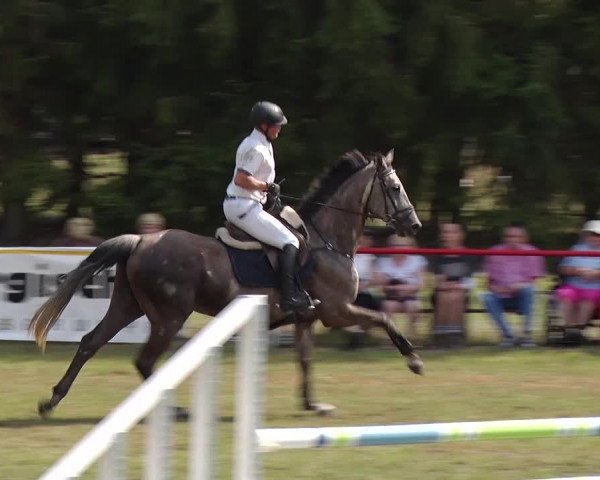 Reitturnier Boock 2019