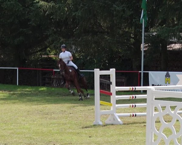 Reitturnier Boock 2019