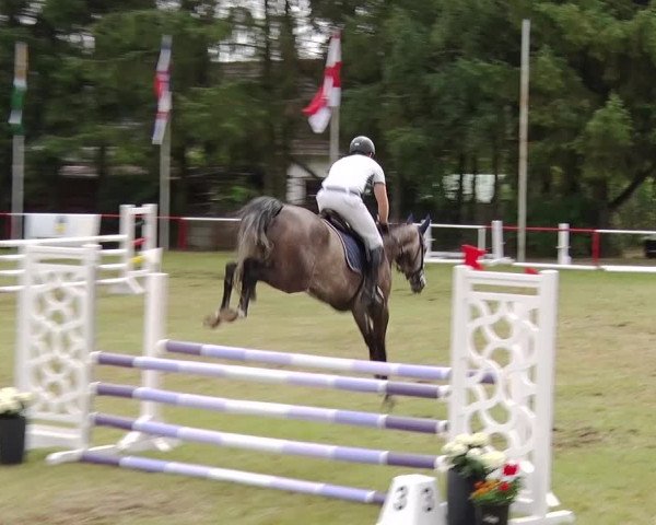 Reitturnier Boock 2019