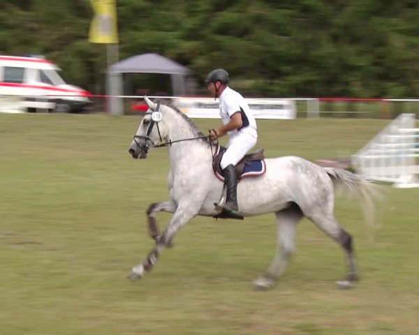 Reitturnier Boock 2019