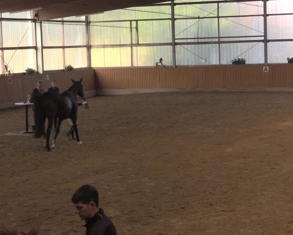 Reitturnier Herbern 2019