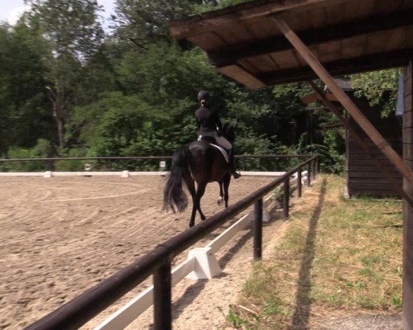 Reitturnier Marienheide-Kempershöhe 2019