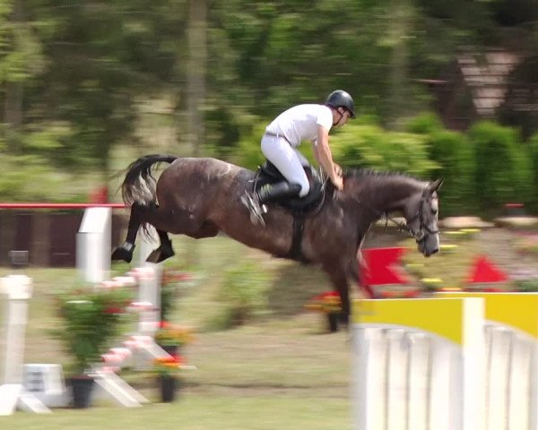 Reitturnier Boock 2019