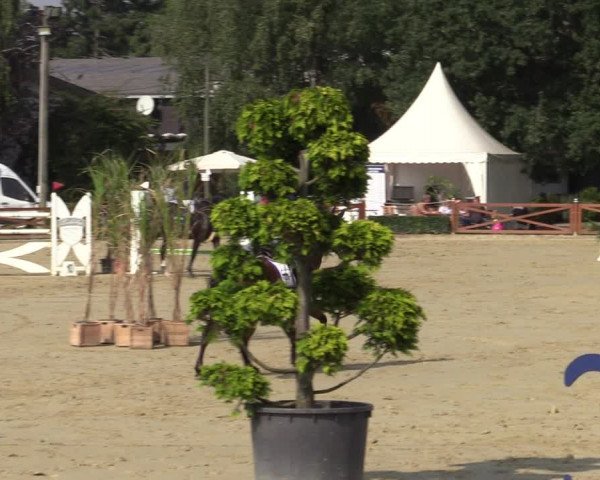 Equus Colonius - Reitanlage Brüse Köln 2021