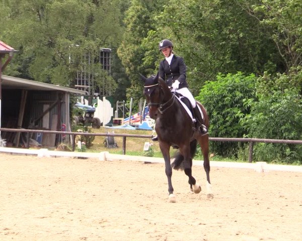 Reitturnier Marienheide-Kempershöhe 2019