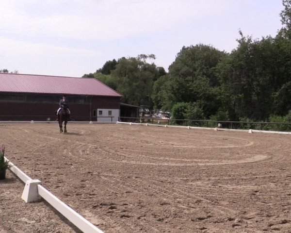 Reitturnier Marienheide-Kempershöhe 2019