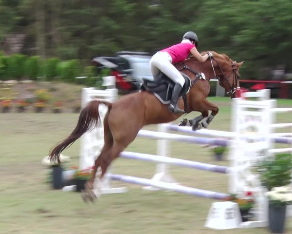 Reitturnier Boock 2019