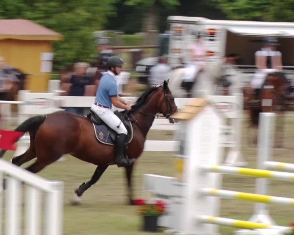 Reitturnier Boock 2019