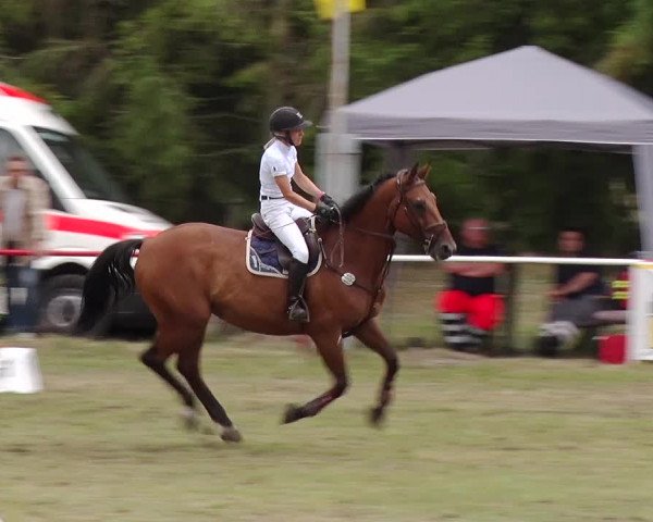 Reitturnier Boock 2019