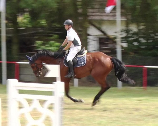 Reitturnier Boock 2019