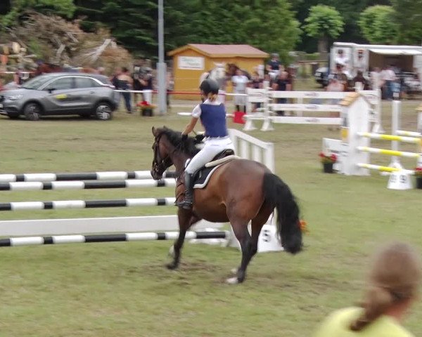 Reitturnier Boock 2019