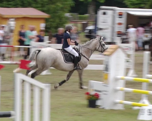 Reitturnier Boock 2019
