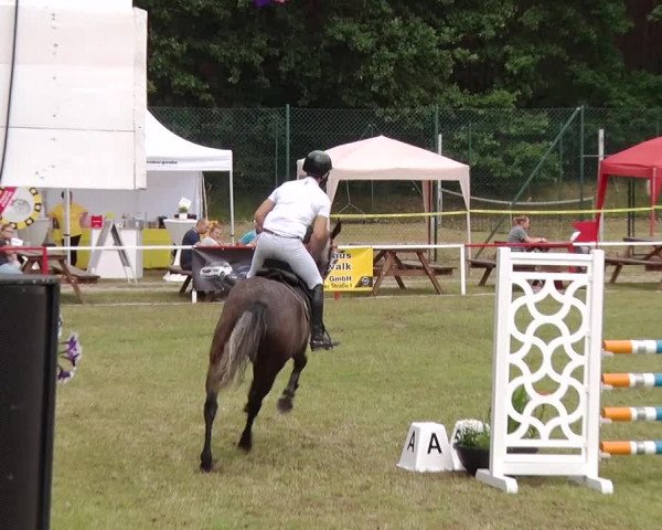 Reitturnier Boock 2019