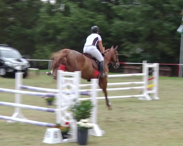 Reitturnier Boock 2019