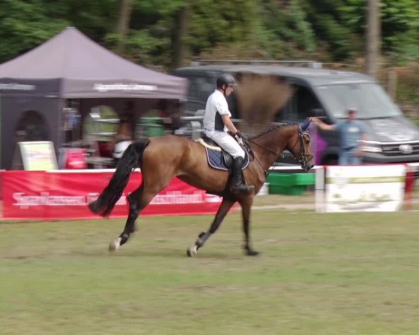 Reitturnier Boock 2019