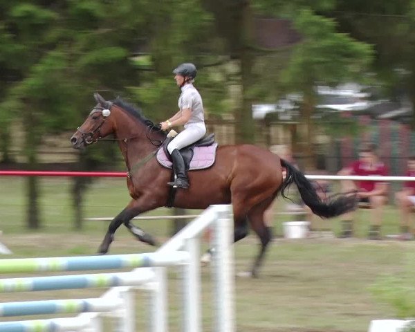 Reitturnier Boock 2019