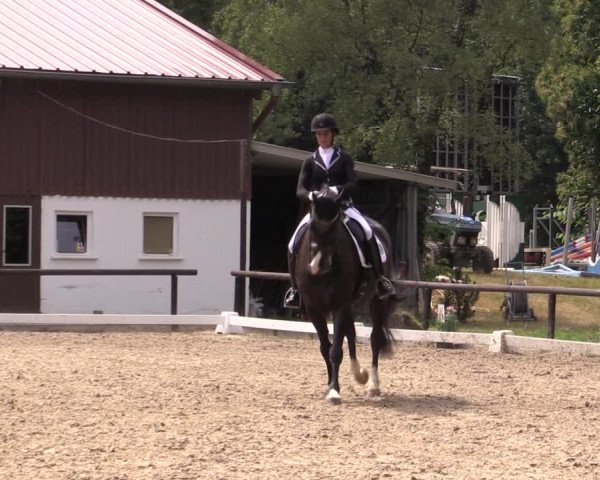 Reitturnier Marienheide-Kempershöhe 2019
