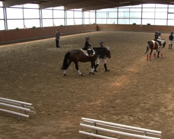 Reitturnier Herbern 2019