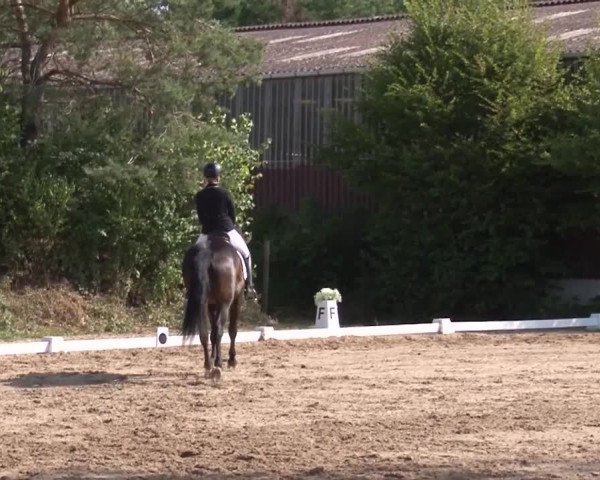 Reitturnier Kleinostheim/Ufr. 2019