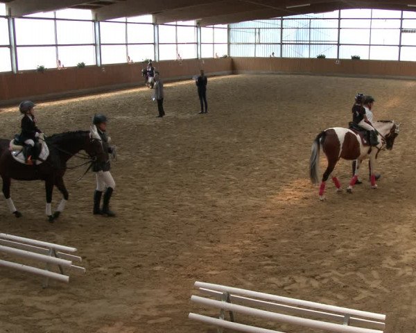 Reitturnier Herbern 2019
