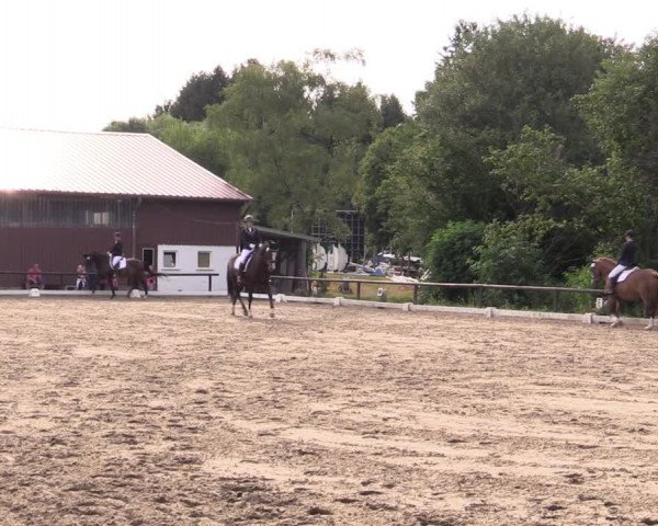 Reitturnier Marienheide-Kempershöhe 2019