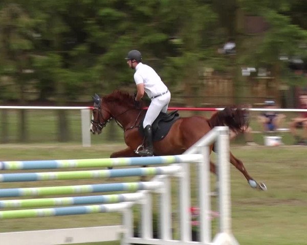 Reitturnier Boock 2019