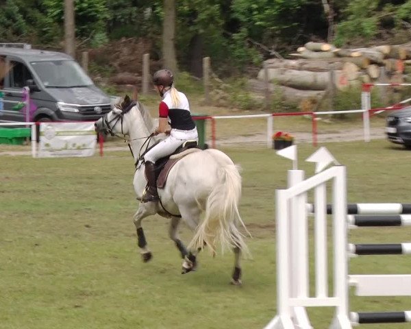 Reitturnier Boock 2019