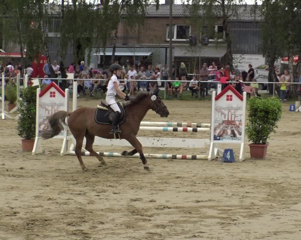 Reitturnier Herbern 2019