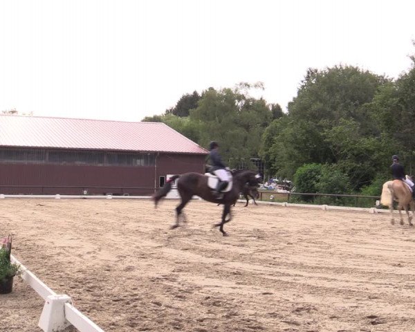 Reitturnier Marienheide-Kempershöhe 2019