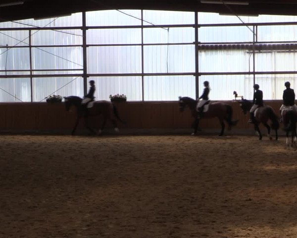 Reitturnier Herbern 2019