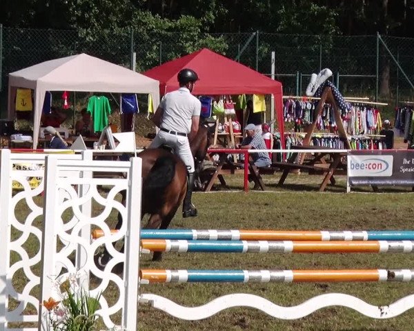 Reitturnier Boock 2019