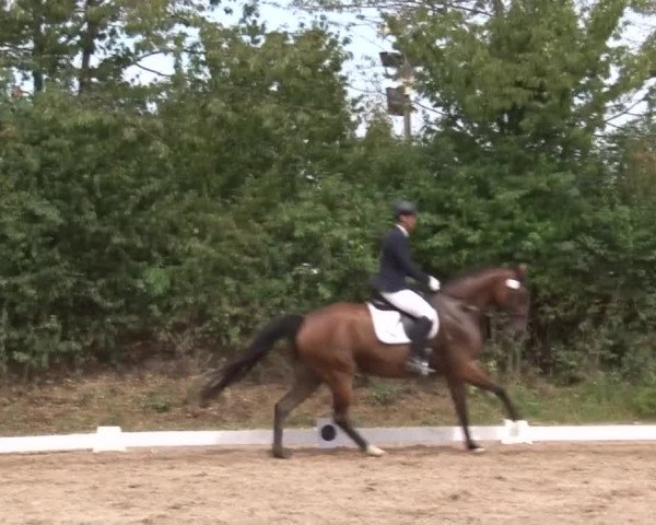 Reitturnier Kleinostheim/Ufr. 2019
