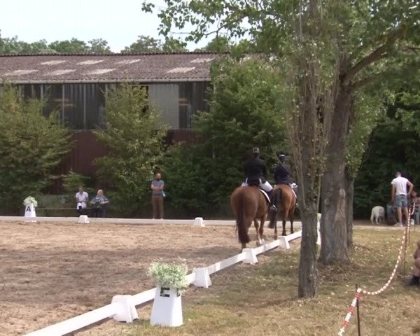Reitturnier Kleinostheim/Ufr. 2019