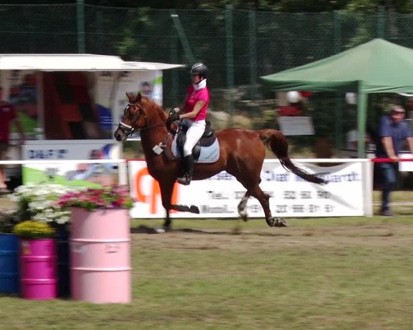 Reitturnier Boock 2019