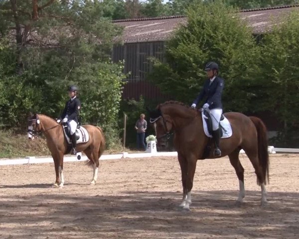 Reitturnier Kleinostheim/Ufr. 2019