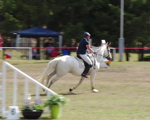 Reitturnier Boock 2019