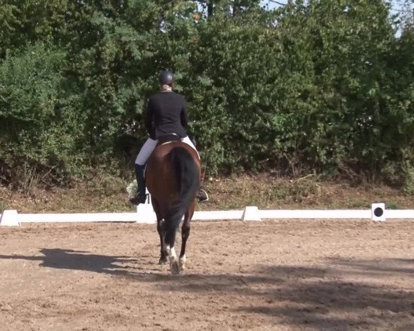 Reitturnier Kleinostheim/Ufr. 2019