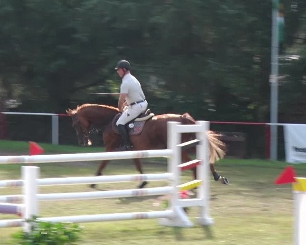 Reitturnier Boock 2019