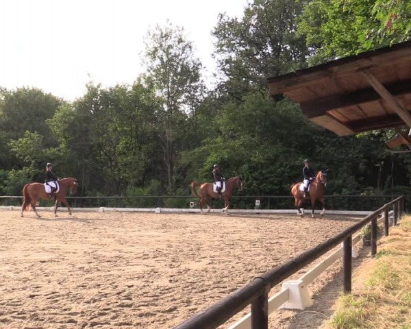 Reitturnier Marienheide-Kempershöhe 2019