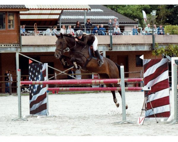Zuchtstute Queste Forlanie Z (Zangersheide Reitpferd, 2006, von Quintessence van de Laarse Heide)