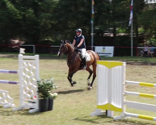 Reitturnier Boock 2019