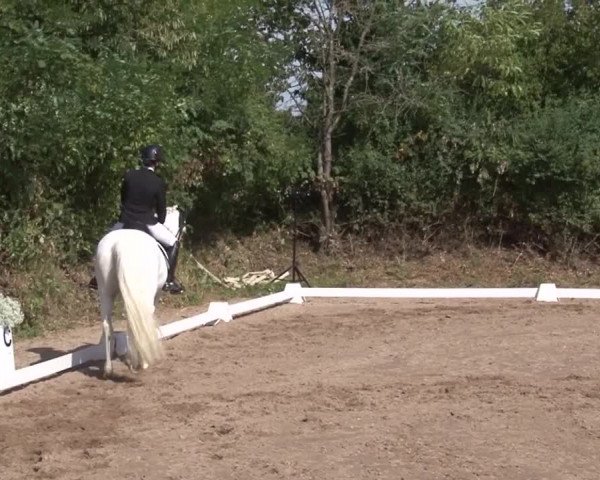 Reitturnier Kleinostheim/Ufr. 2019