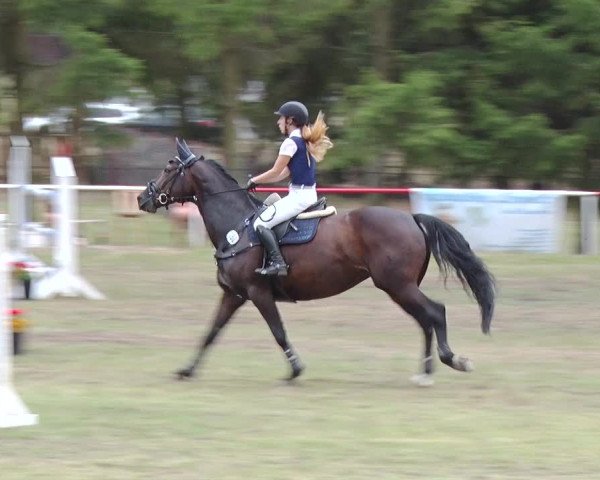 Reitturnier Boock 2019