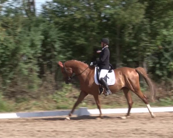 Reitturnier Kleinostheim/Ufr. 2019