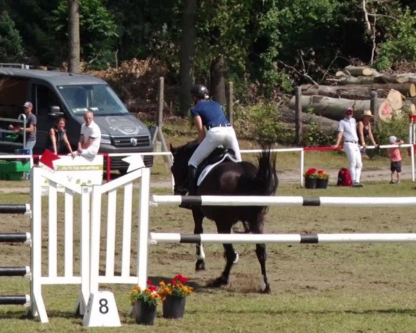 Reitturnier Boock 2019