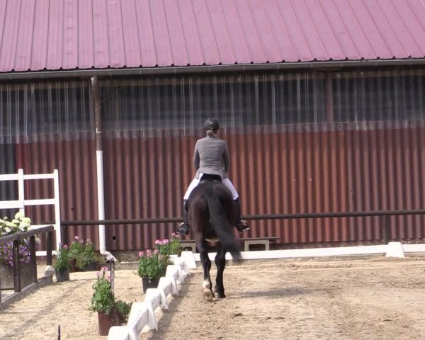 Reitturnier Marienheide-Kempershöhe 2019